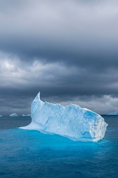 Antarctica-South Georgia Island Lone iceberg and stormy sunset